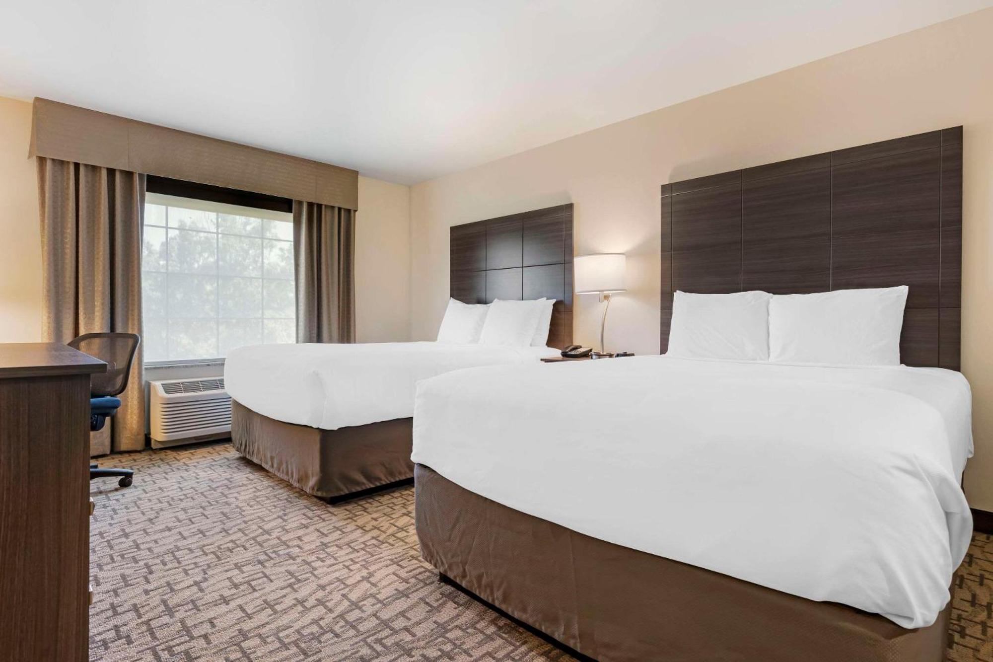 Comfort Inn & Suites Medina Dış mekan fotoğraf