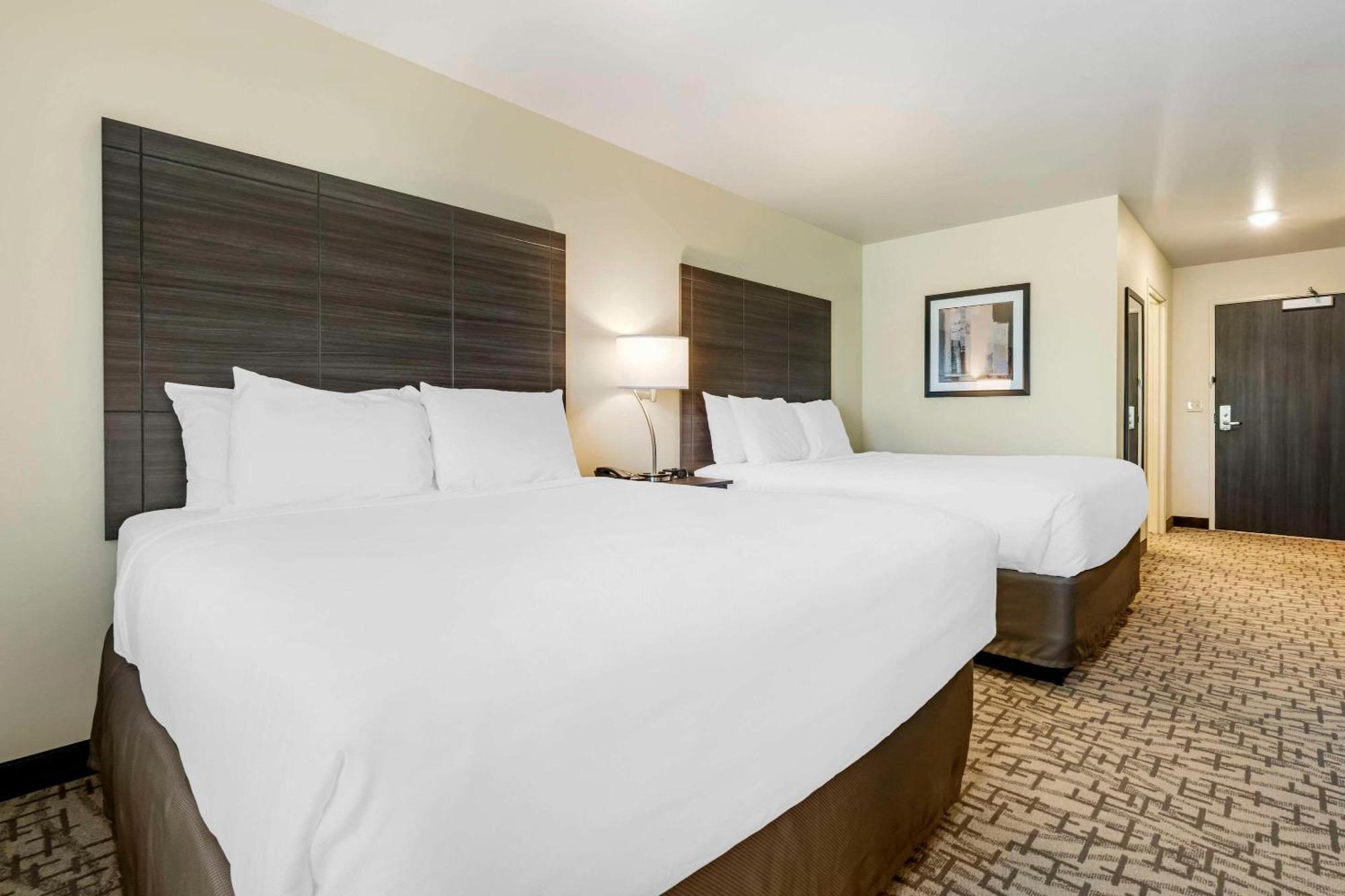 Comfort Inn & Suites Medina Dış mekan fotoğraf