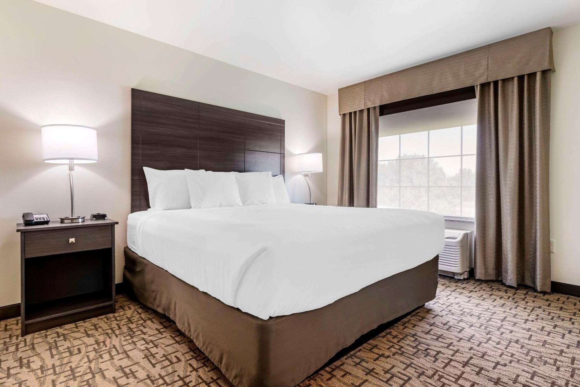 Comfort Inn & Suites Medina Dış mekan fotoğraf