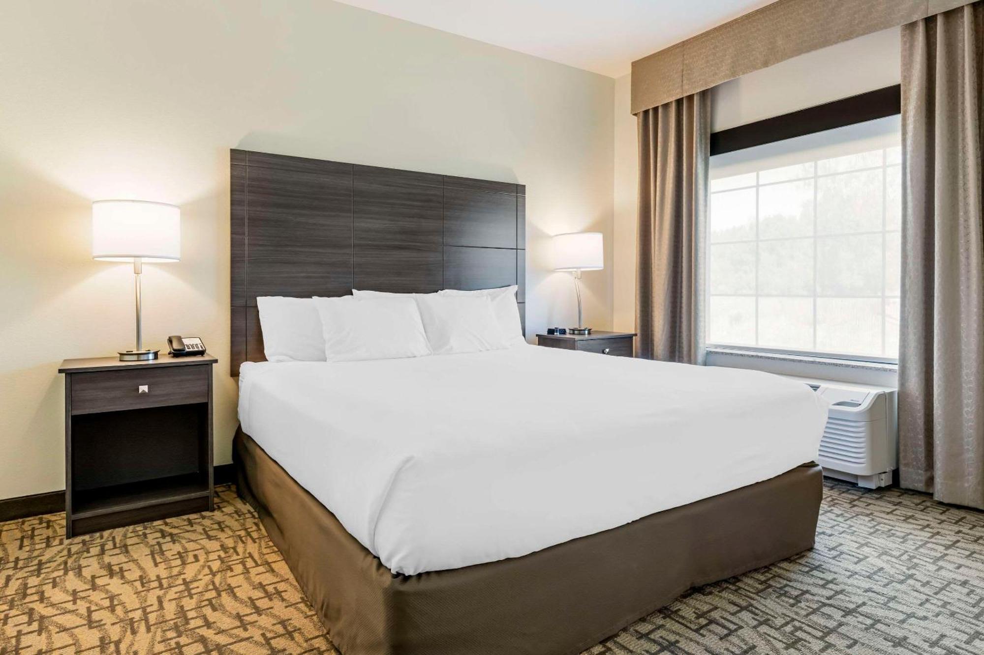 Comfort Inn & Suites Medina Dış mekan fotoğraf