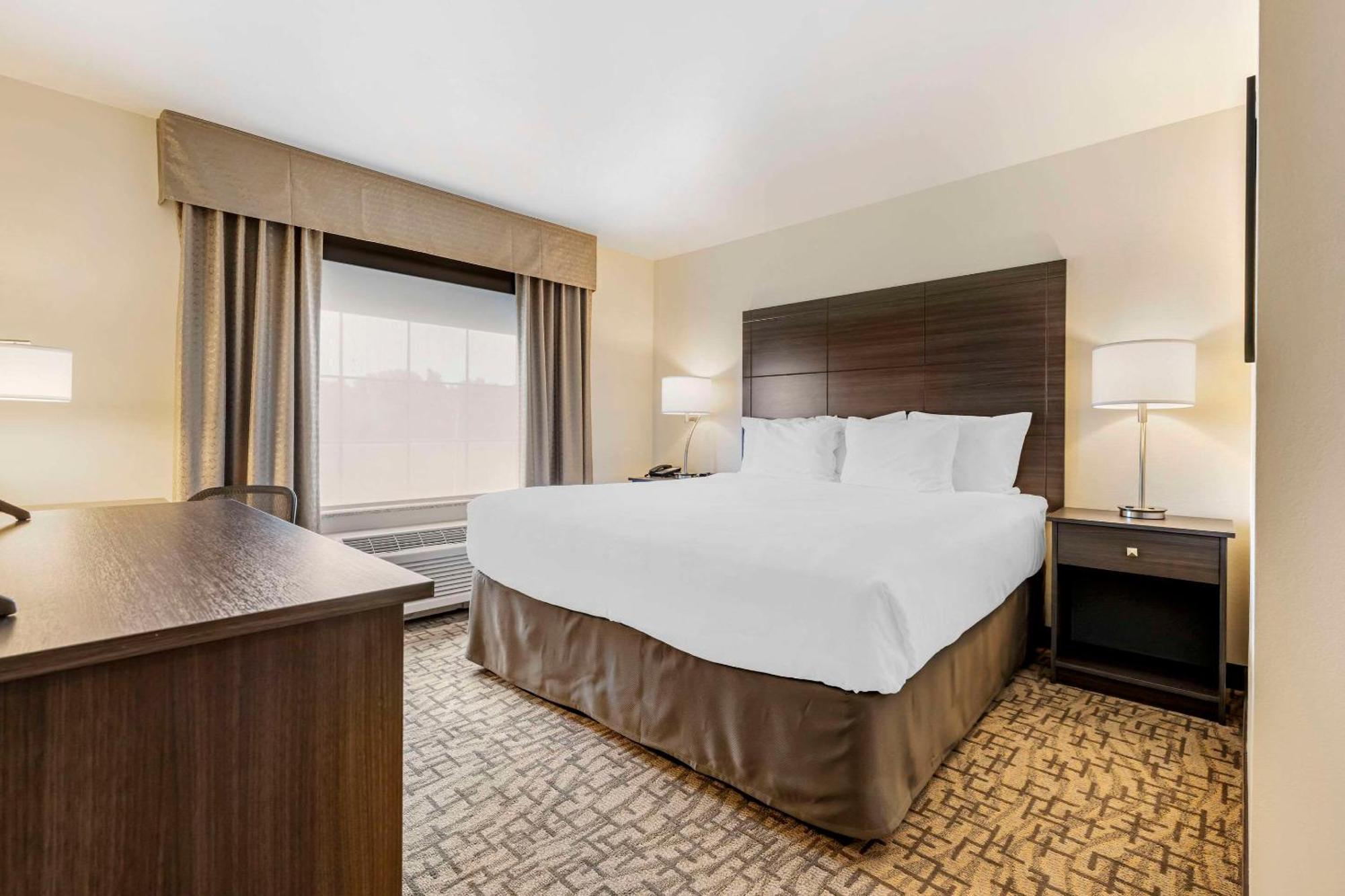 Comfort Inn & Suites Medina Dış mekan fotoğraf