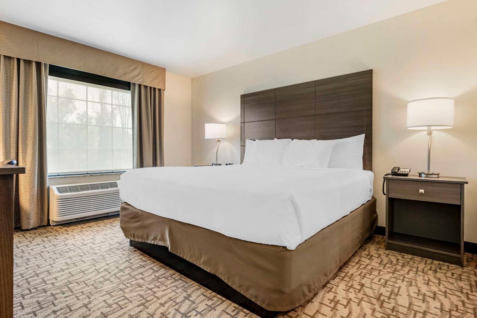 Comfort Inn & Suites Medina Dış mekan fotoğraf